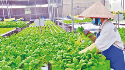 Bộ bongdaso tintuc ban hành Thông tư bãi bỏ hướng dẫn phân loại và đánh giá hợp tác xã