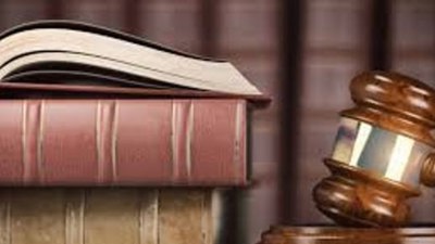 Hà Lan: Luật mới giúp doanh nghiệp sử dụng linh hoạt các khoản nợ