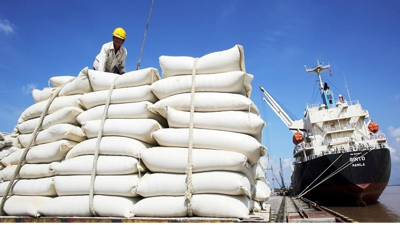 Xuất khẩu gạo Việt Nam vượt 3 tỷ USD
