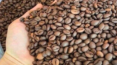 Xuất khẩu cà phê lập kỷ lục mới, chạm mốc 6 tỷ USD