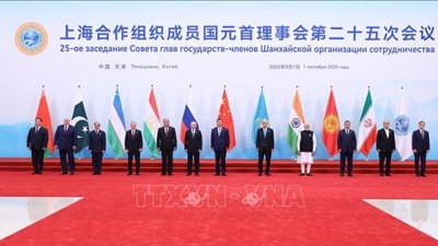 Hội nghị thượng đỉnh SCO: Lãnh đạo các quốc gia phê chuẩn Tuyên bố Thiên Tân