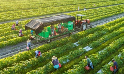 Định hướng hoàn thiện chính sách thuế hỗ trợ phát triển nông nghiệp xanh ở Việt Nam