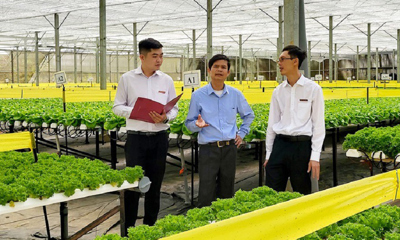 Agribank tiếp tục điều chỉnh giảm lãi suất hỗ trợ khách hàng phục hồi sau dịch COVID-19