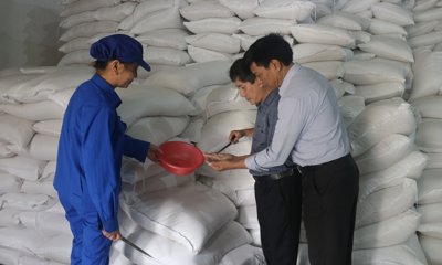 Xuất cấp hơn 1.019 tấn gạo hỗ trợ học sinh học kỳ II năm học 2023 - 2024