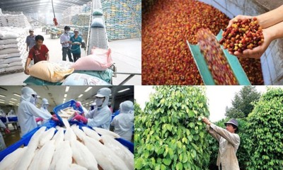 Tổng kim ngạch xuất khẩu nông - lâm - thủy sản ước đạt 13,53 tỷ USD quý I/2024