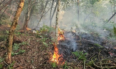 Tăng cường triển khai các biện pháp cấp bách phòng cháy, chữa cháy rừng