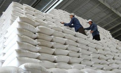 Chi cục Dự trữ Nhà nước khu vực XV hoàn thành 30% kế hoạch mua lương thực