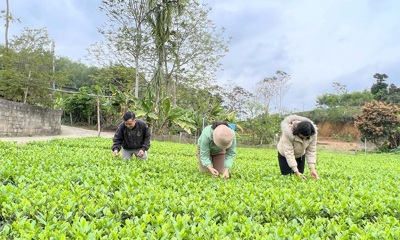Nơi ở và làm việc lâu nhất của Bộ Tài chính tại ATK