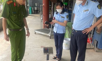 Lào Cai: Ngăn chặn, xử lý kịp thời trên 1 tấn nầm lợn đông lạnh, không rõ nguồn gốc, xuất xứ
