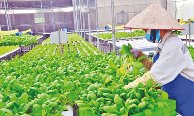 Bộ Tài chính ban hành Thông tư bãi bỏ hướng dẫn phân loại và đánh giá hợp tác xã