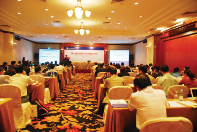 3 vấn đề "nóng" mùa đại hội cổ đông năm 2013