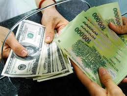 Năm 2013 nên giảm giá tiền đồng 4%