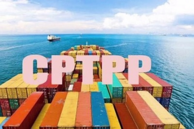 Phòng vệ thương mại trong CPTPP đối với các doanh nghiệp xuất khẩu Việt Nam
