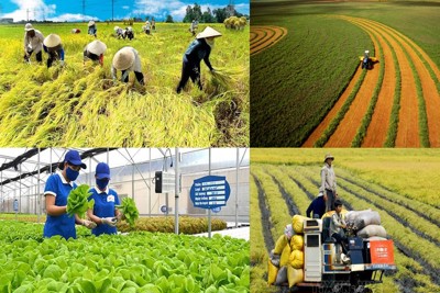 Năm 2022, ngành Nông nghiệp tăng 2,88%