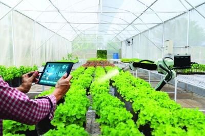 Giải pháp tài chính đối với khoa học công nghệ trong phát triển nông nghiệp tỉnh Nghệ An