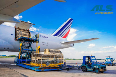 Vai trò của ngành hàng không trong phát triển logistics thương hiệu Việt Nam
