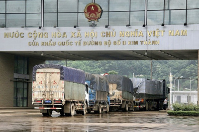 Nhiều cửa khẩu sẽ duy trì hoạt động xuất nhập khẩu xuyên Tết Nguyên đán