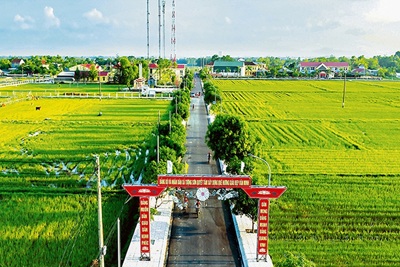 Vai trò của kinh tế nông thôn đối với phát triển kinh tế - xã hội của Việt Nam 