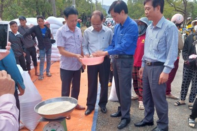 Hoàn thành xuất cấp hơn 1.183 tấn gạo hỗ trợ người dân Ninh Thuận đón Tết