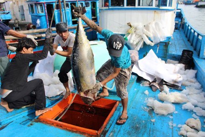 Quyết tâm gỡ cảnh báo “Thẻ vàng” hải sản trong năm 2023