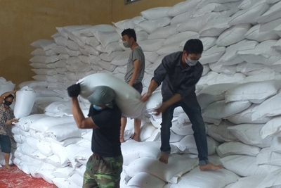 Xuất cấp hơn 256 tấn gạo dự trữ quốc gia cho tỉnh Lạng Sơn