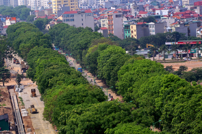 Hà Nội phấn đấu có thêm 500.000 cây xanh đô thị đến năm 2025