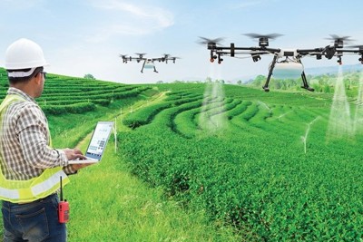 Ứng dụng công nghệ AI trong nâng cao năng suất nông nghiệp
