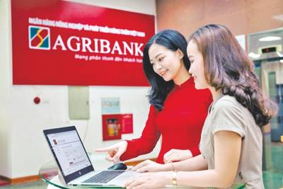 Agribank với nhiều giải pháp hỗ trợ khách hàng vay vốn