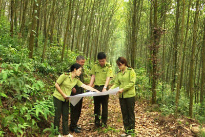 Kinh phí sự nghiệp từ ngân sách nhà nước hỗ trợ quản lý, bảo vệ rừng đặc dụng