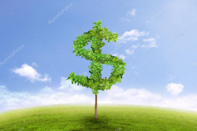 Chính sách thuế xanh nhằm phát triển bền vững 
