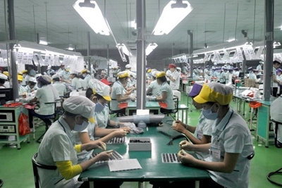 Chất lượng việc làm trong các cơ sở sản xuất kinh doanh phi chính thức tại Việt Nam
