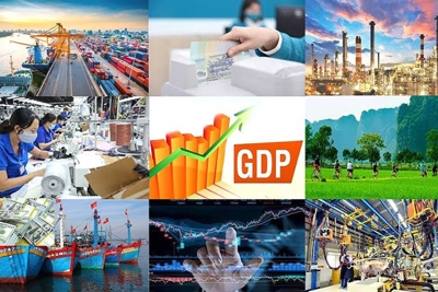 OECD dự báo kinh tế Việt Nam tăng trưởng 6,5% năm 2023