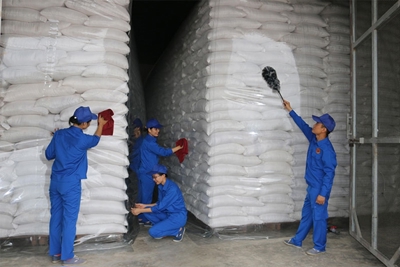 Triển khai đấu thầu mua gạo dự trữ quốc gia năm 2023