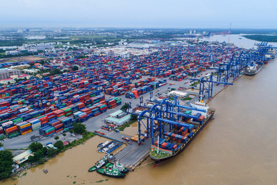 TP. Hồ Chí Minh: Gần 2.700 tỷ đồng từ thu phí hạ tầng cảng biển 
