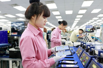 Tác động của thuế thu nhập doanh nghiệp tối thiểu toàn cầu đến doanh nghiệp FDI tại Việt Nam