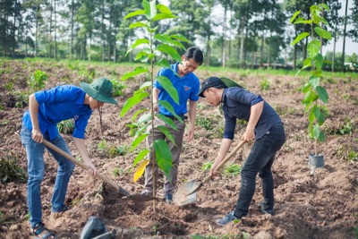 Đối tượng nào đóng góp tài chính vào Quỹ Bảo vệ môi trường Việt Nam? 