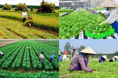 Phát triển hợp tác xã nông nghiệp: Một số nhiệm vụ, giải pháp