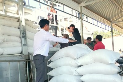 Ngành Dự trữ Nhà nước phát huy truyền thống 67 năm hình thành và phát triển