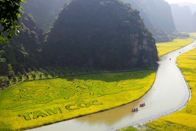 Quản lý, sử dụng và quyết toán kinh phí sự nghiệp từ nguồn ngân sách nhà nước thực hiện các chương trình mục tiêu quốc gia giai đoạn 2021-2025