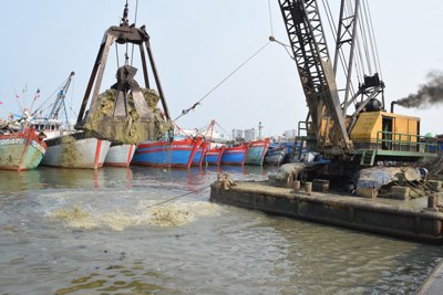 Đề xuất sửa đổi thủ tục môi trường cho hoạt động nạo vét trong vùng nước cảng biển