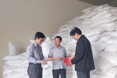 Xuất cấp hơn 3.308 tấn gạo dự trữ quốc gia hỗ trợ Nhân dân 6 địa phương