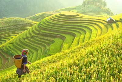 Du lịch Việt Nam tạo ấn tượng tại World Travel Awards 2023