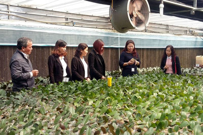 Khơi thông điểm nghẽn, thúc đẩy ứng dụng công nghệ cao trong nông nghiệp tại Hà Nội