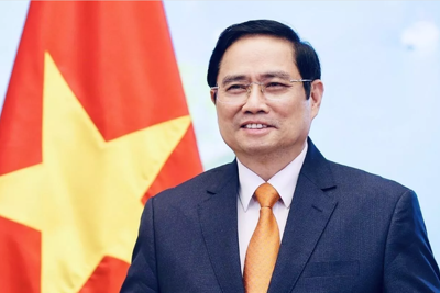 Cam kết mạnh mẽ và đóng góp trách nhiệm của Việt Nam