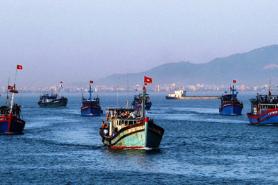Đà Nẵng triển khai Đề án bảo vệ môi trường trong hoạt động thủy sản
