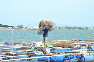Giải pháp huy động vốn đầu tư cho ngành Thủy sản tỉnh Quảng Nam