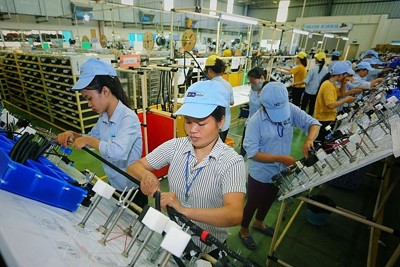 EVFTA tạo “cú huých” hút dòng vốn FDI từ Hà Lan vào Việt Nam