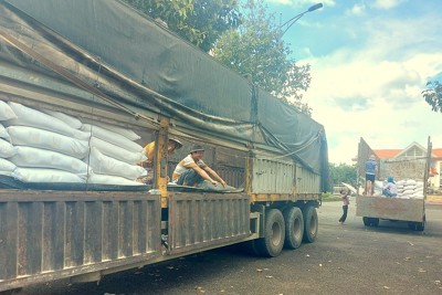 Hoàn thành xuất cấp hơn 129 tấn gạo hỗ trợ học sinh tỉnh Bình Phước