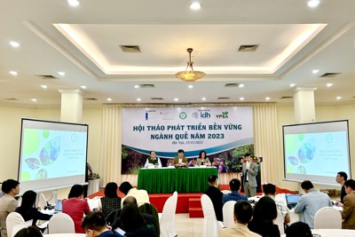 Tận dụng tiềm năng để thúc đẩy giá trị xuất khẩu cho ngành Quế