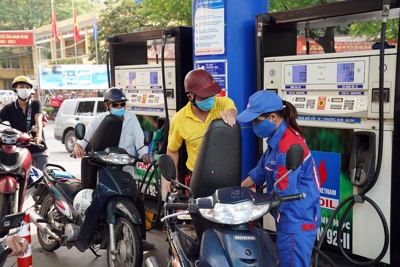 Các trường hợp thu hồi Giấy xác nhận đủ điều kiện làm đại lý bán lẻ xăng dầu
